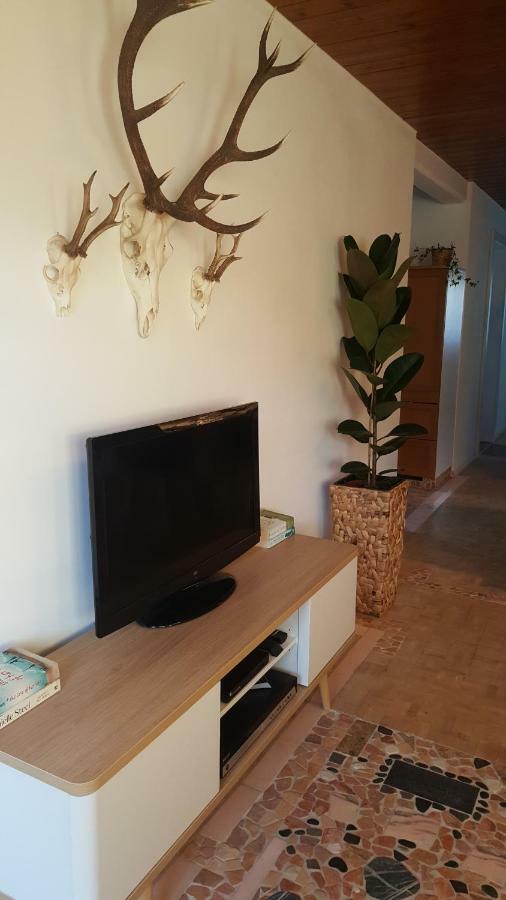 Appartement Unterbergblick Kössen Kültér fotó